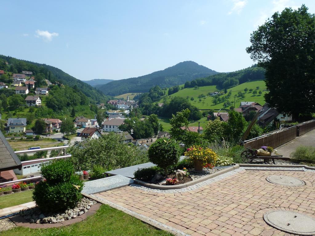 Ferienwohnung Schwarzwaldsteig Бад-Петерсталь-Грисбах Номер фото